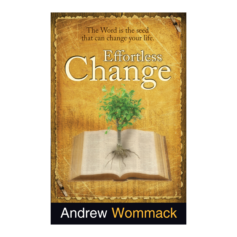 Effortless Change - English