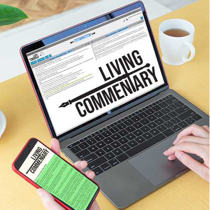 Living commentary software - English